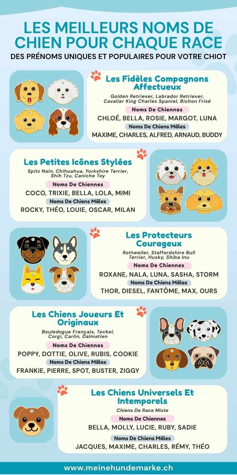 Noms de chiens populaires par race, idéaux pour médailles personnalisées, médailles gravées et médailles d’identification.
